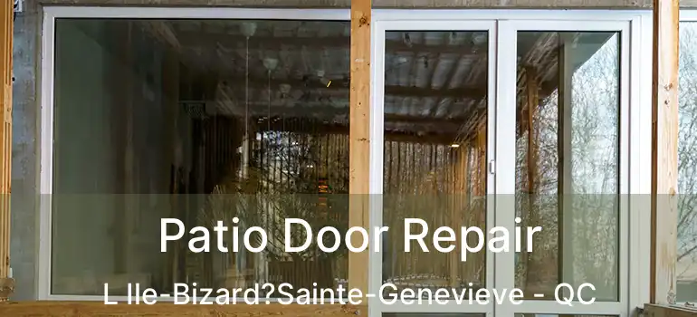  Patio Door Repair L Ile-Bizard?Sainte-Genevieve - QC