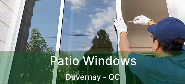  Patio Windows Duvernay - QC