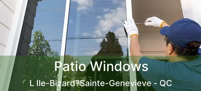  Patio Windows L Ile-Bizard?Sainte-Genevieve - QC