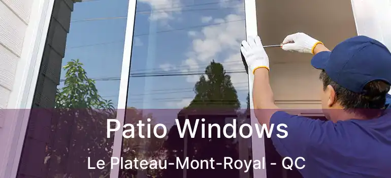 Patio Windows Le Plateau-Mont-Royal - QC