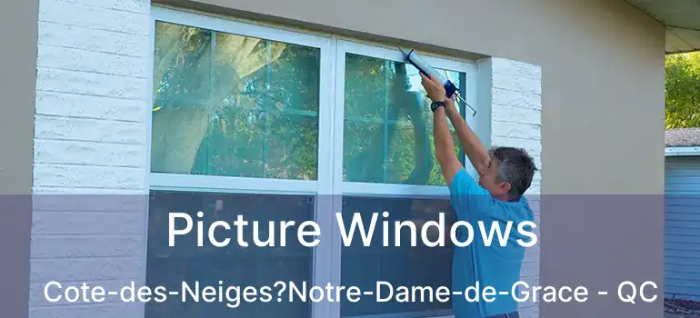  Picture Windows Cote-des-Neiges?Notre-Dame-de-Grace - QC