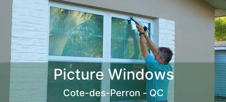  Picture Windows Cote-des-Perron - QC