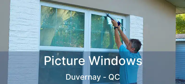  Picture Windows Duvernay - QC