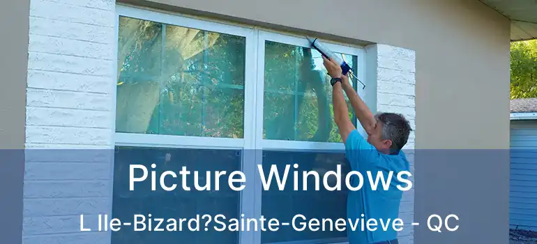  Picture Windows L Ile-Bizard?Sainte-Genevieve - QC