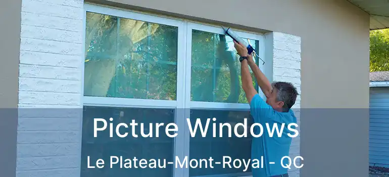  Picture Windows Le Plateau-Mont-Royal - QC