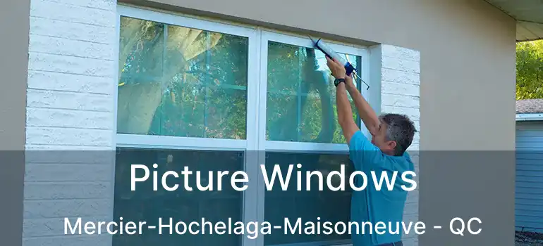  Picture Windows Mercier-Hochelaga-Maisonneuve - QC