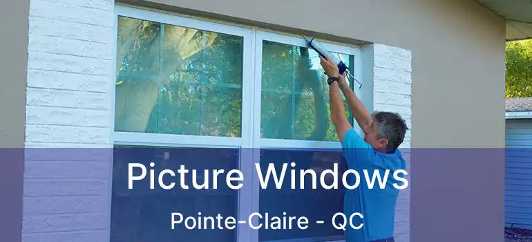  Picture Windows Pointe-Claire - QC