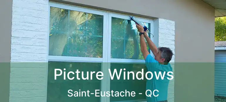  Picture Windows Saint-Eustache - QC