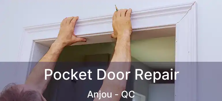  Pocket Door Repair Anjou - QC