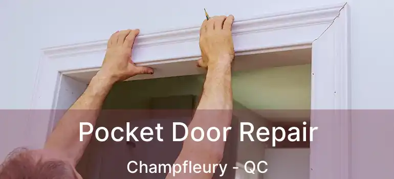  Pocket Door Repair Champfleury - QC
