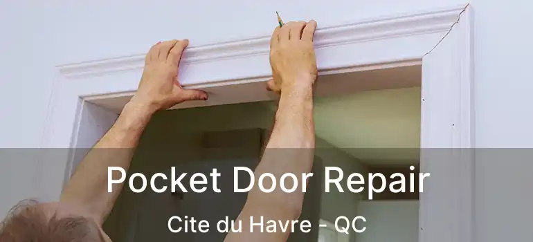  Pocket Door Repair Cite du Havre - QC