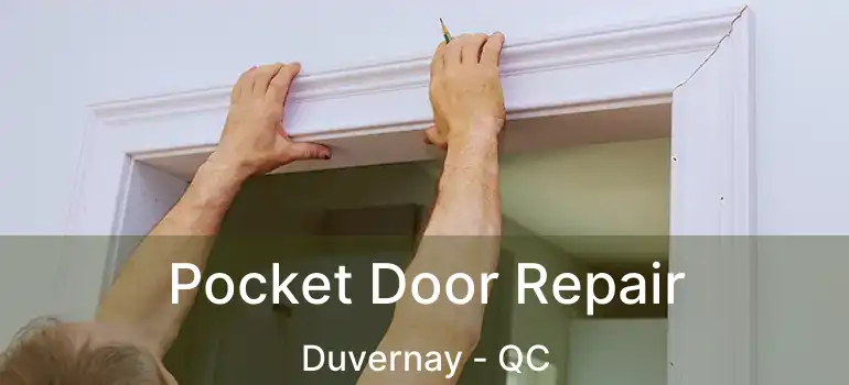  Pocket Door Repair Duvernay - QC