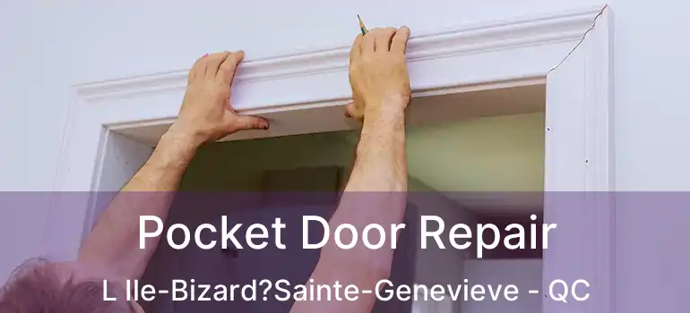  Pocket Door Repair L Ile-Bizard?Sainte-Genevieve - QC