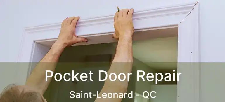  Pocket Door Repair Saint-Leonard - QC