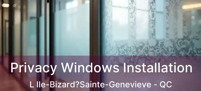  Privacy Windows Installation L Ile-Bizard?Sainte-Genevieve - QC