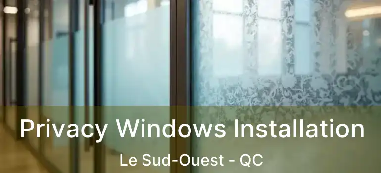  Privacy Windows Installation Le Sud-Ouest - QC