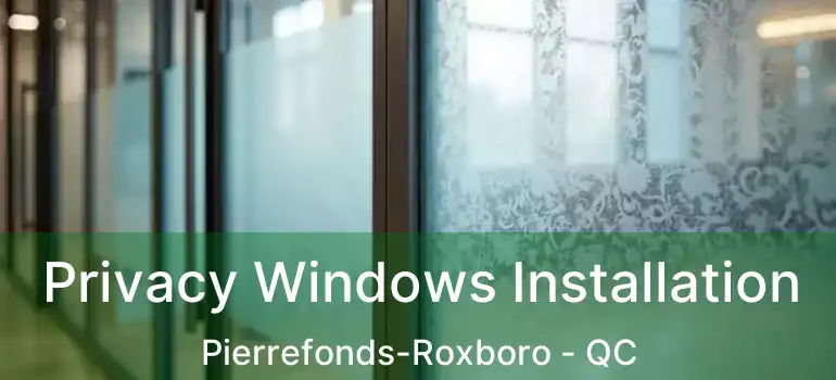  Privacy Windows Installation Pierrefonds-Roxboro - QC