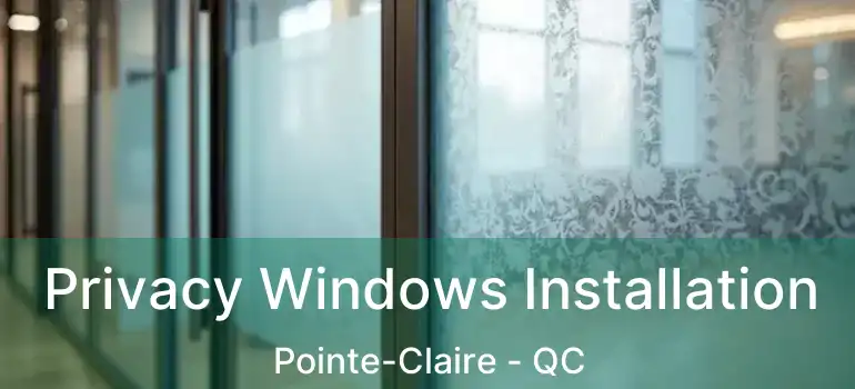  Privacy Windows Installation Pointe-Claire - QC