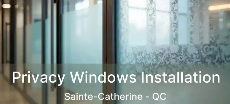  Privacy Windows Installation Sainte-Catherine - QC