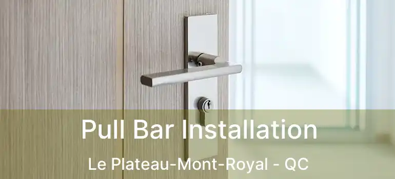  Pull Bar Installation Le Plateau-Mont-Royal - QC