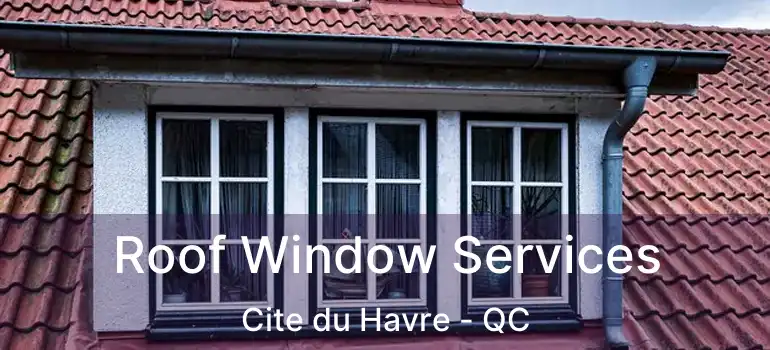  Roof Window Services Cite du Havre - QC