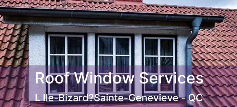  Roof Window Services L Ile-Bizard?Sainte-Genevieve - QC