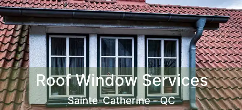  Roof Window Services Sainte-Catherine - QC