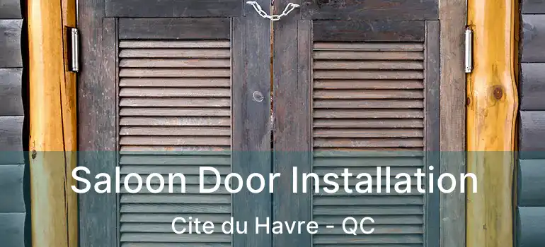  Saloon Door Installation Cite du Havre - QC