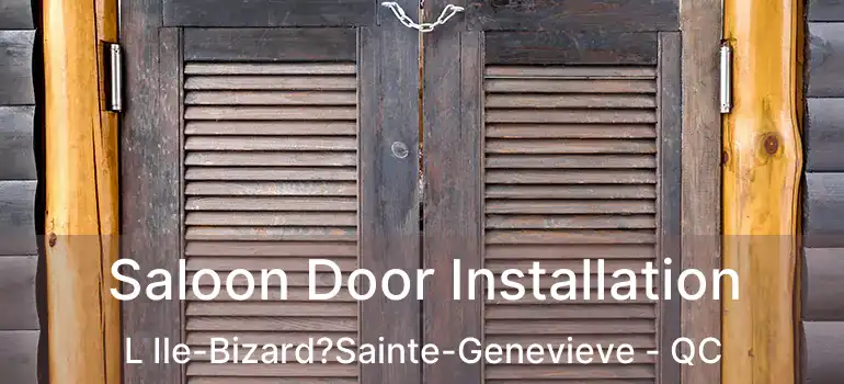  Saloon Door Installation L Ile-Bizard?Sainte-Genevieve - QC
