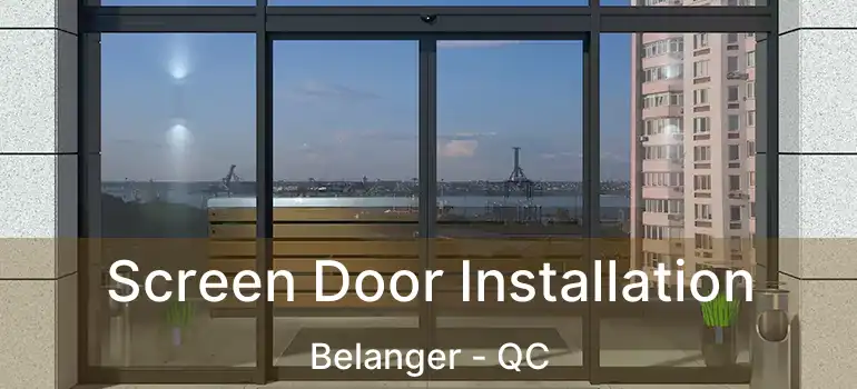  Screen Door Installation Belanger - QC