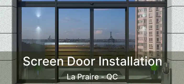  Screen Door Installation La Praire - QC