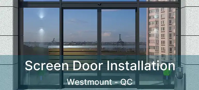  Screen Door Installation Westmount - QC