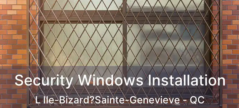  Security Windows Installation L Ile-Bizard?Sainte-Genevieve - QC