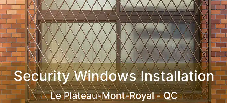  Security Windows Installation Le Plateau-Mont-Royal - QC