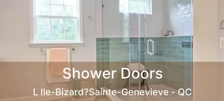  Shower Doors L Ile-Bizard?Sainte-Genevieve - QC