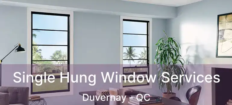  Single Hung Window Services Duvernay - QC