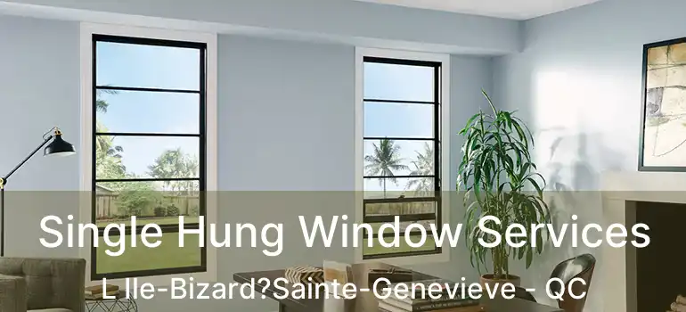  Single Hung Window Services L Ile-Bizard?Sainte-Genevieve - QC