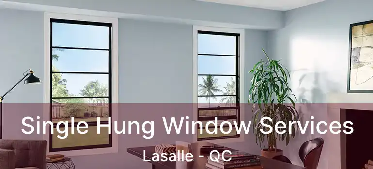  Single Hung Window Services Lasalle - QC
