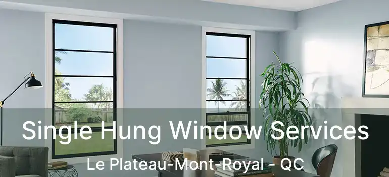  Single Hung Window Services Le Plateau-Mont-Royal - QC