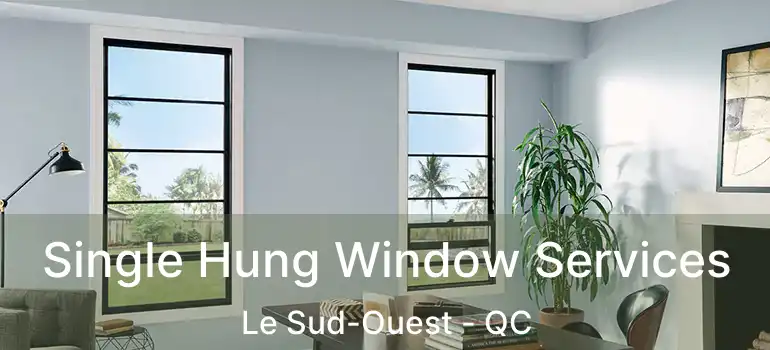  Single Hung Window Services Le Sud-Ouest - QC