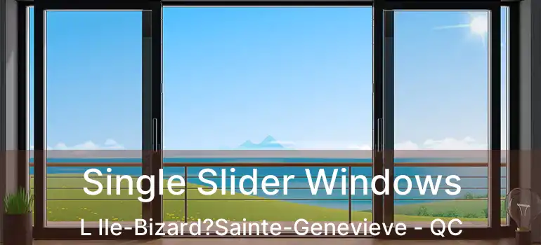  Single Slider Windows L Ile-Bizard?Sainte-Genevieve - QC