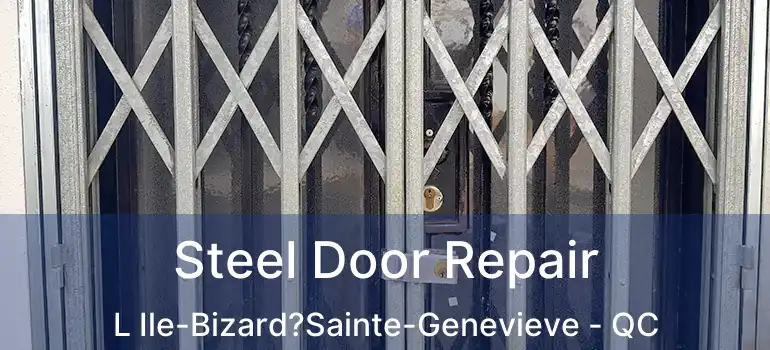  Steel Door Repair L Ile-Bizard?Sainte-Genevieve - QC