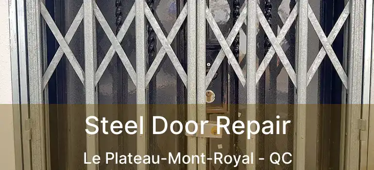  Steel Door Repair Le Plateau-Mont-Royal - QC