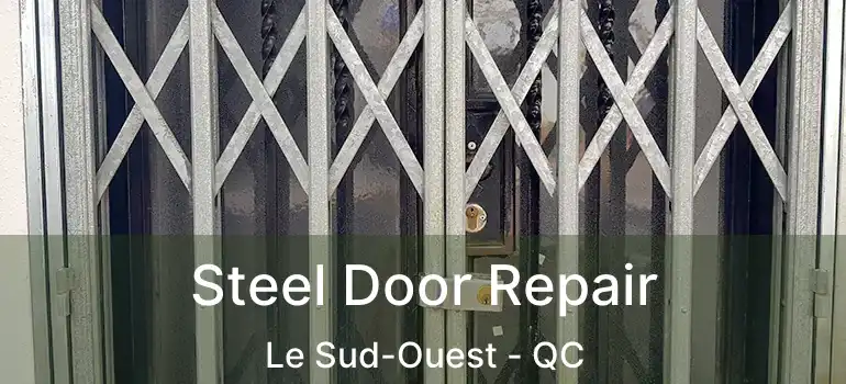  Steel Door Repair Le Sud-Ouest - QC