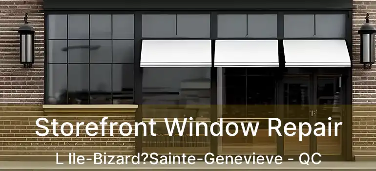  Storefront Window Repair L Ile-Bizard?Sainte-Genevieve - QC