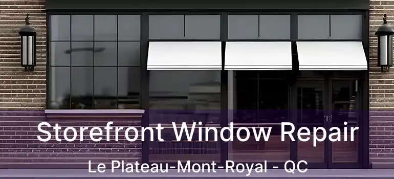  Storefront Window Repair Le Plateau-Mont-Royal - QC