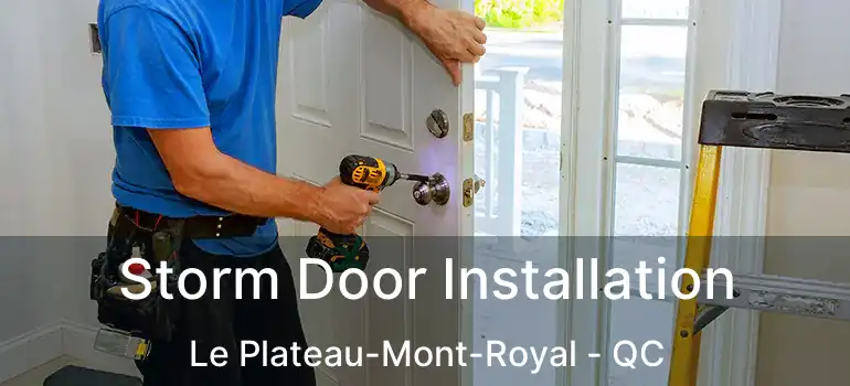  Storm Door Installation Le Plateau-Mont-Royal - QC