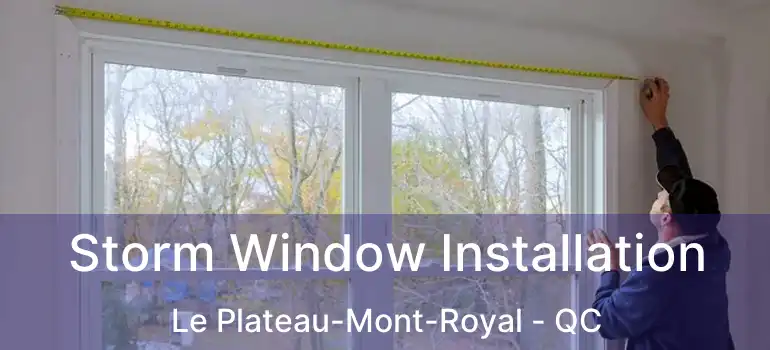  Storm Window Installation Le Plateau-Mont-Royal - QC