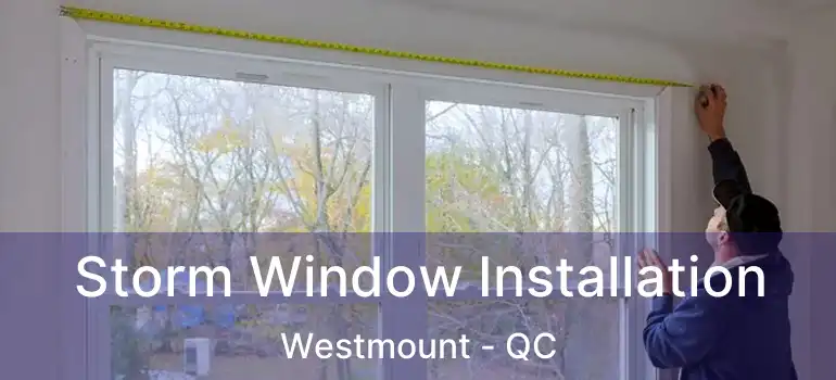 Storm Window Installation Westmount - QC