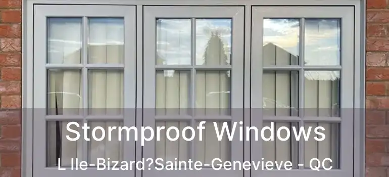  Stormproof Windows L Ile-Bizard?Sainte-Genevieve - QC